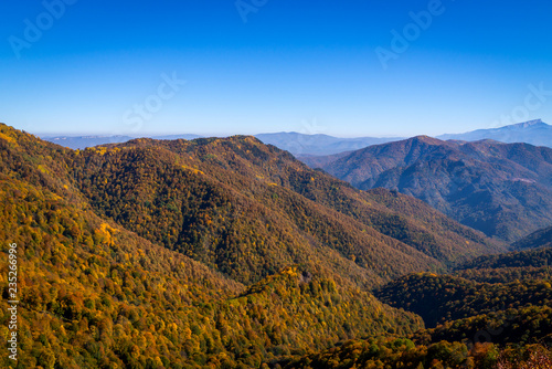 Scenic landscape with trees in mountain forest in autumn © rostovdriver