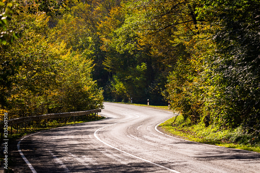 Fototapeta premium Scenic view of a new road through autumn trees
