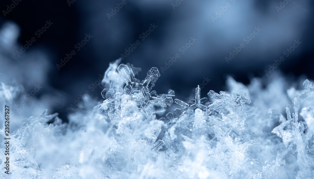 natural snowflakes on snow, winter