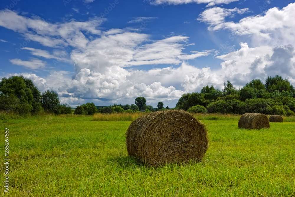 haystacks in the field against the background of white clouds haystacks in the field against the background of white clouds