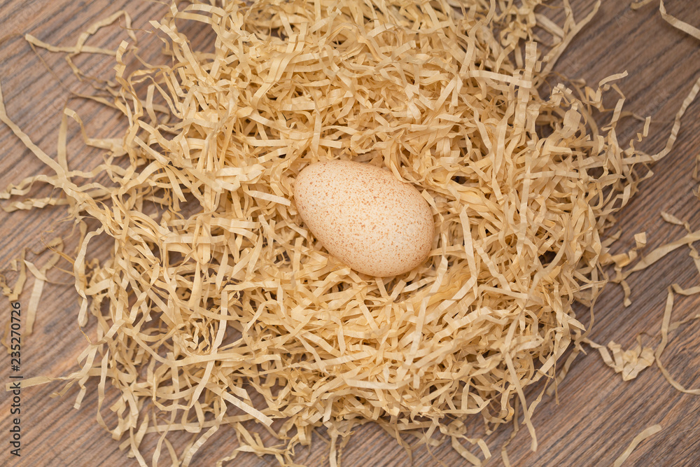 A delicious turkey egg lies in a nest A delicious turkey egg lies in a nest