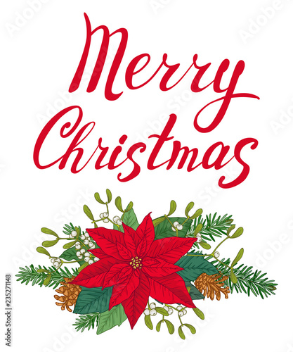 Christmas card made of poinsettia, leaves, fir, pinecones and mistletoes. Merry Christmas lettering. Vector objects on white background.
