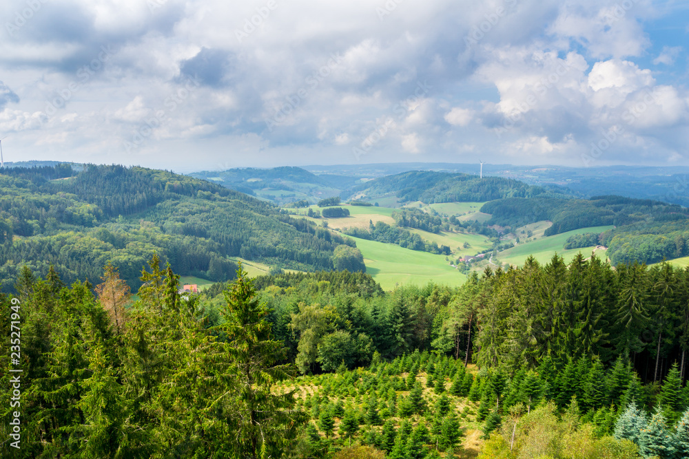 Fototapeta premium Germany, Young tree seedlings and old conifer fir trees from above in black forest vacation region