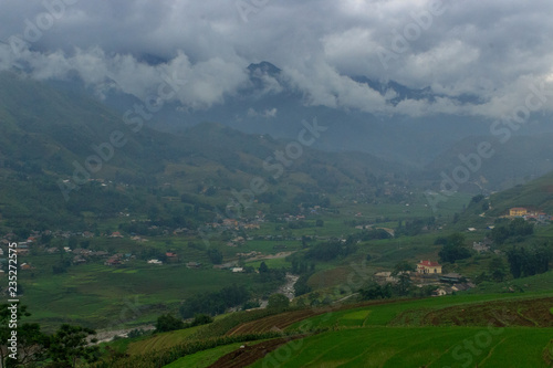 lush green rice fields in sapa vietnam