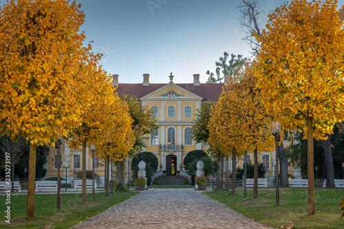 yellow alley - Gelbe Allee photo