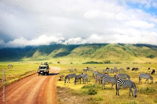 Obraz Dzika przyroda Afryki. Zebry na tle gór i chmur. Safari w Parku Narodowym Krateru Ngorongoro. Tanzania.