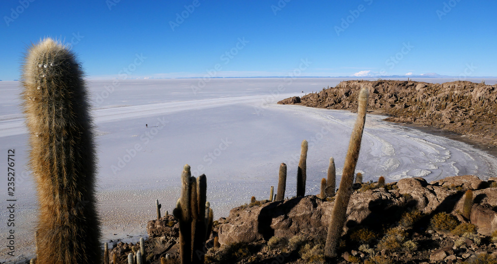 Incahuasi Island (Cactus Island) the world's largest salt flat area, Salar de Uyuni, Altiplano, Bolivia