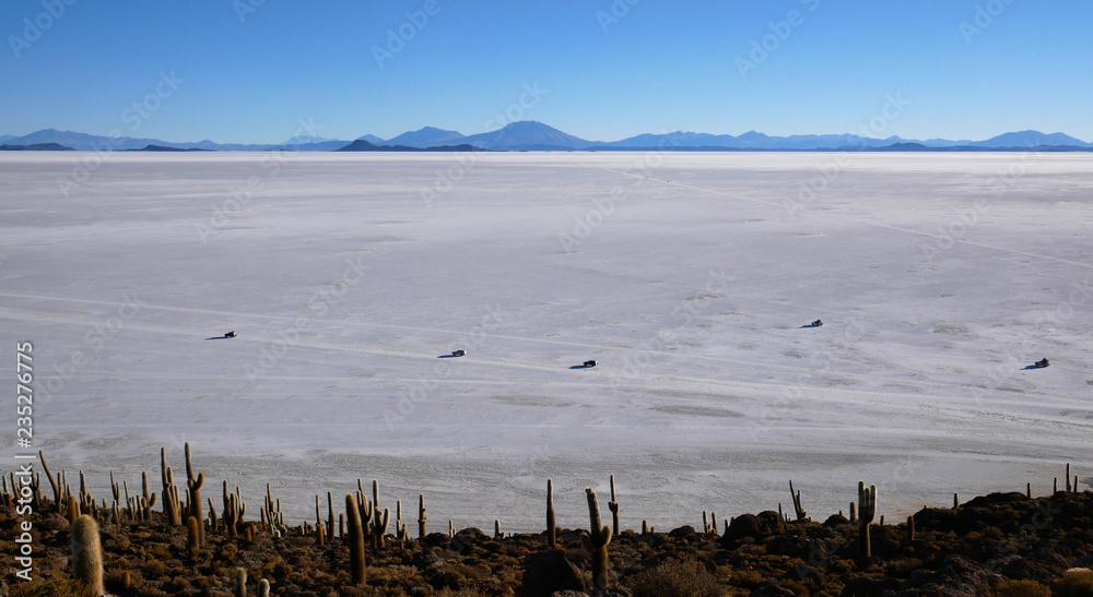 Incahuasi Island (Cactus Island) the world's largest salt flat area, Salar de Uyuni, Altiplano, Bolivia Incahuasi Island (Cactus Island) the world's largest salt flat area, Salar de Uyuni, Altiplano, Bolivia