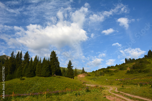 Bright easy clouds above a landscape