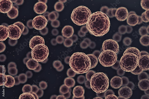 Group of cancer cells under a microscope