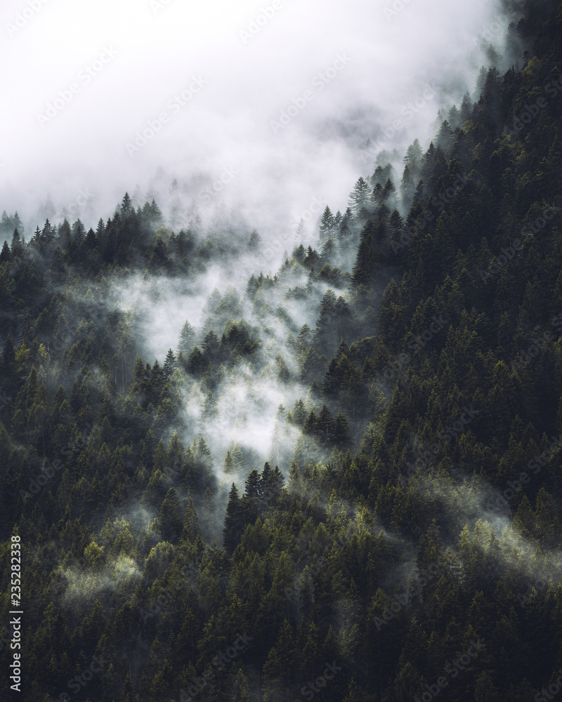 Fototapeta Mgła
