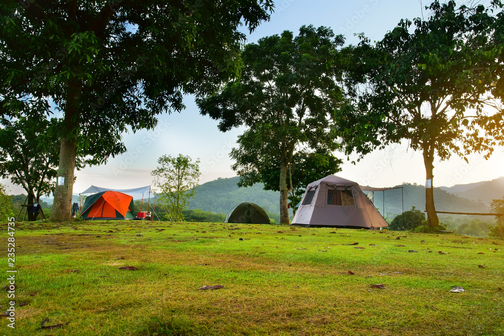 nature landscape camping tent with tree on green grass meadow and mountain in jungle garden or forest with blue sky for family vacation picnic on holiday relax travel in autumn winter on sunlight