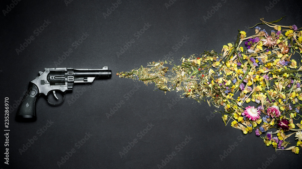Gun shooting flowers on a black background. The concept of peace, no war. Creative idea. Stock