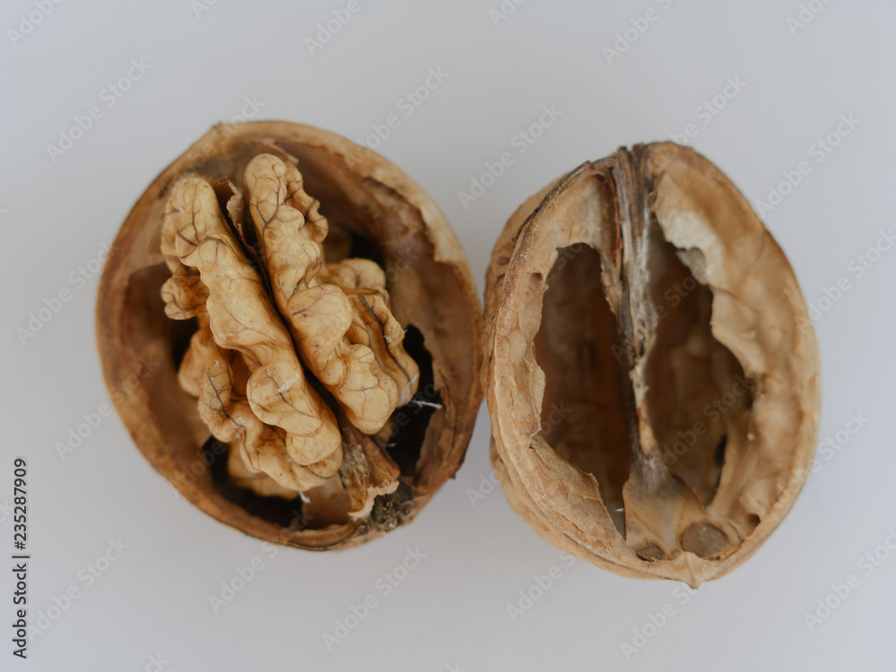 Opened walnut on a white background with shadows Opened walnut on a white background with shadows