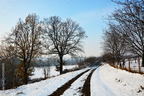 snowy road in winter