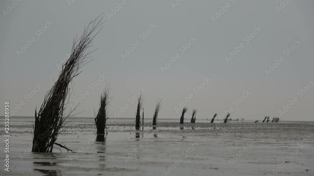 Fahrwasserkennzeichnung im Wattenmeer, Pricke, Prigge Fahrwasserkennzeichnung im Wattenmeer, Pricke, Prigge