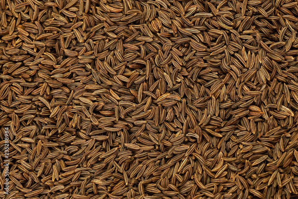 Cumin or caraway seeds