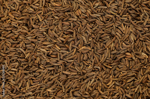 Cumin or caraway seeds