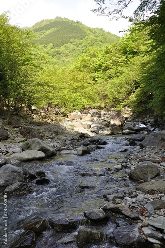 新緑の早戸川 photo