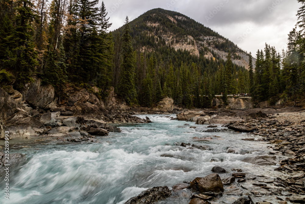 Kicking Horse river rampages through the park, Yoho National Park, British Columbia, Canada Kicking Horse river rampages through the park, Yoho National Park, British Columbia, Canada