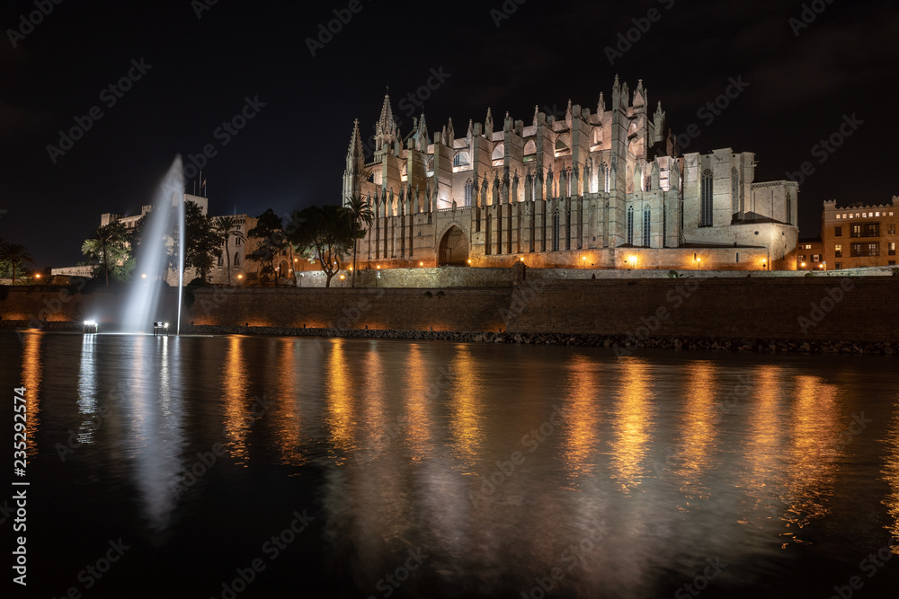 Fototapeta premium Palma bei Nacht