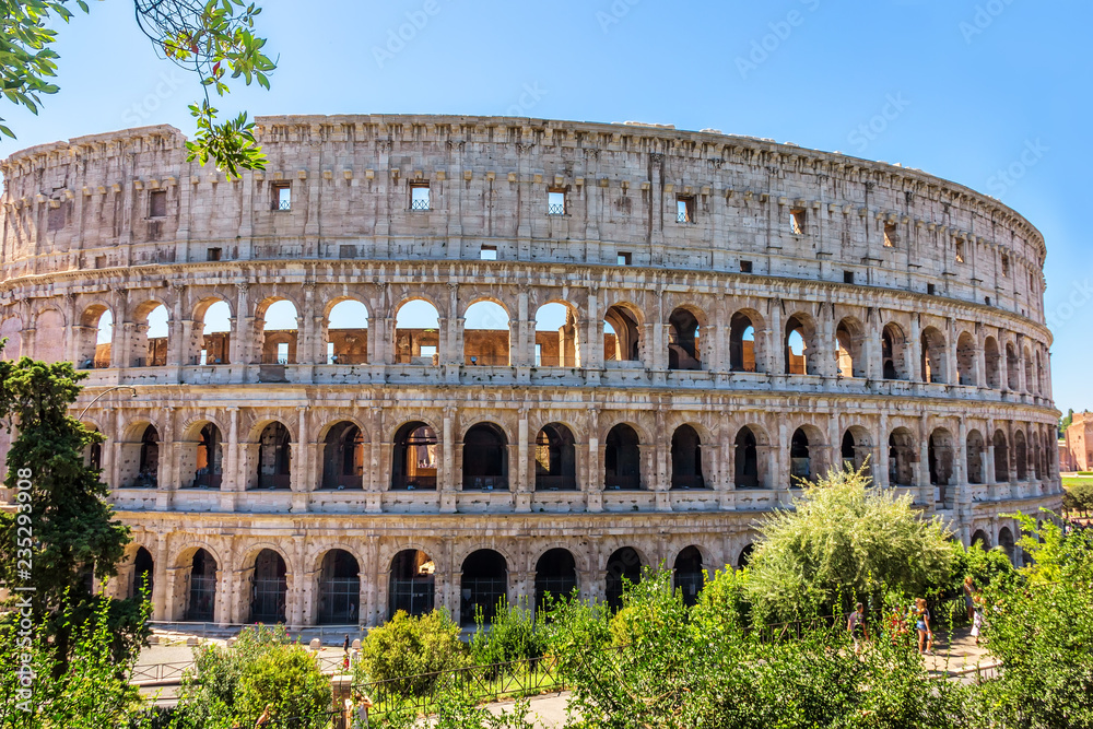 Obraz premium Coliseum in greenery, summer view, no people, Rome, Italy