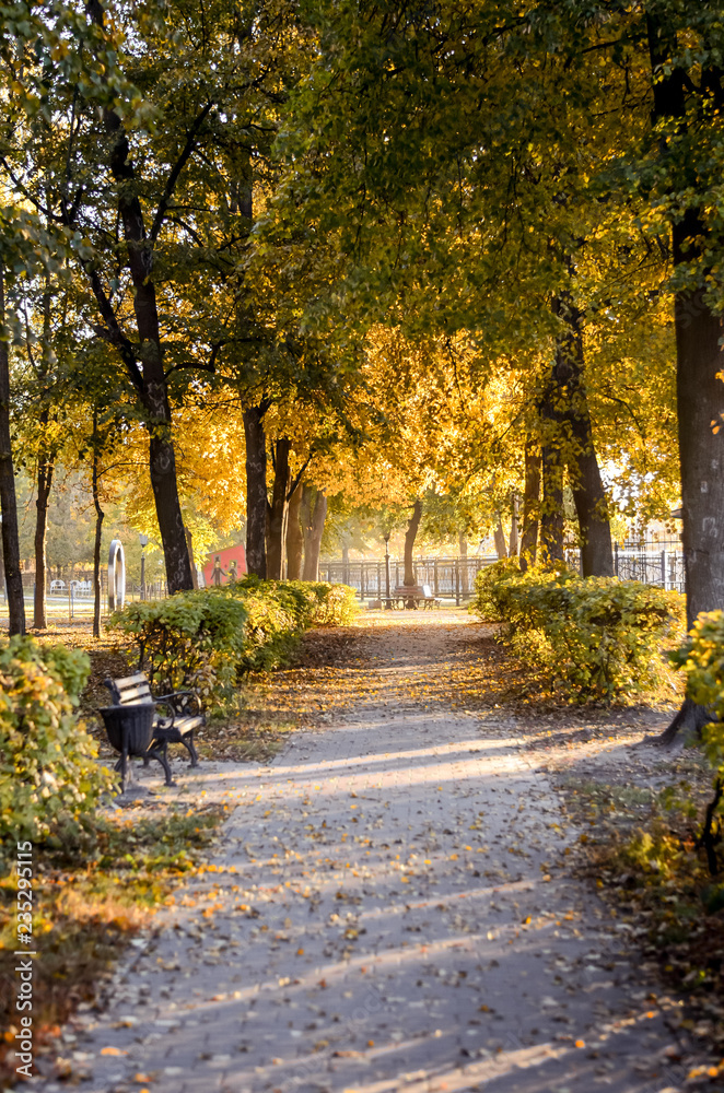 Naklejka premium autumn