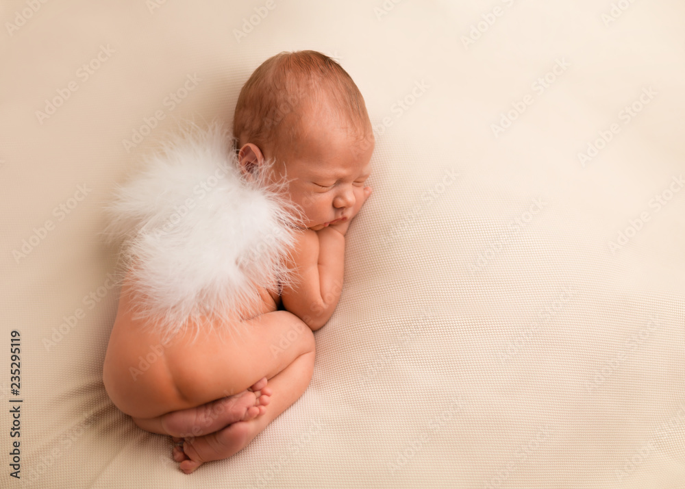 Fototapeta premium Newborn angel first shooting