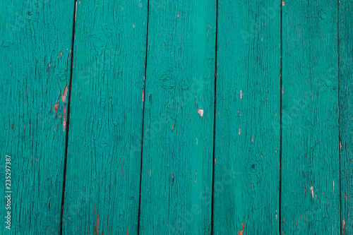 Slika na platnu Old wooden background, green color. Texture and background.