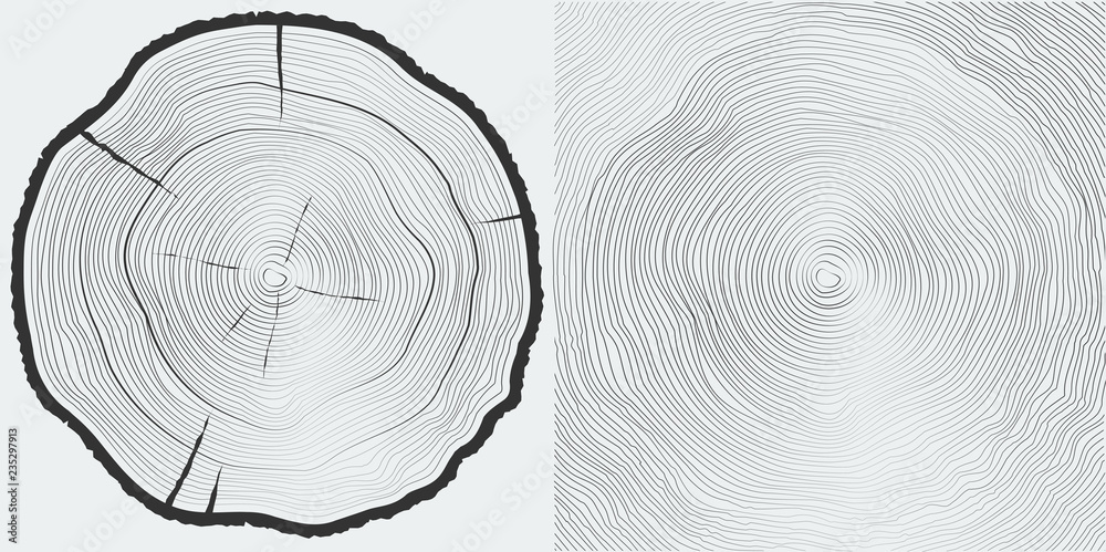Vector sawcut tree trunk and tree-rings background
