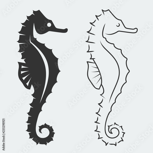 Vector seahorse silhouettes photo