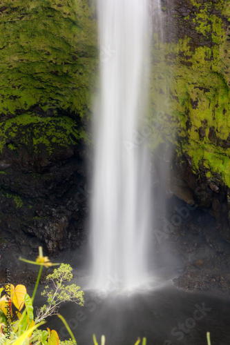 Wasserfall Akaka auf Big Island  Hawaii