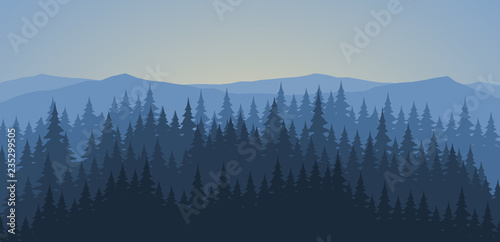 Pine forest at dawn landscape background