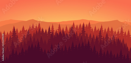 Pine forest at dusk landscape background