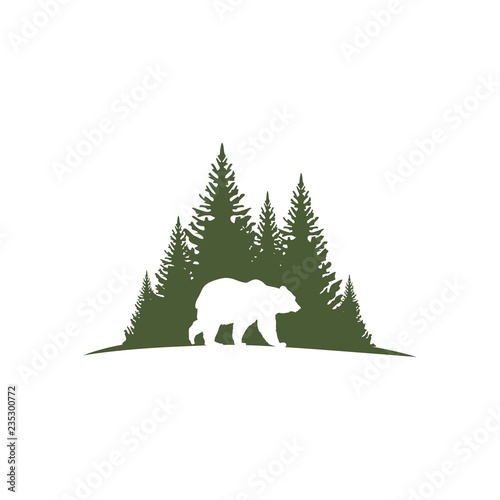 медведь в лесу