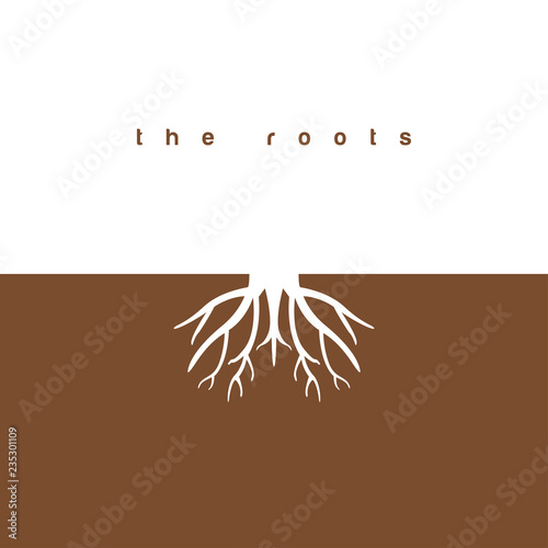 The roots graphic design template vector illustration photo