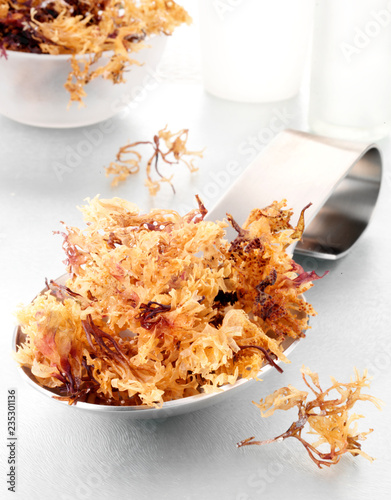 JAMAICAN IRISH MOSS photo