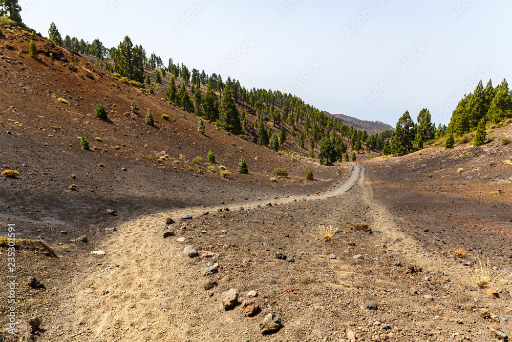 Path along Ruta de los Volcanes, beautiful hiking path over the volcanoes, La Palma, Canary Islands