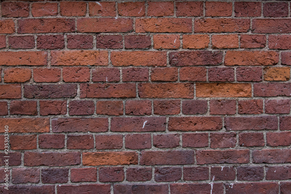 Obraz premium brick wall