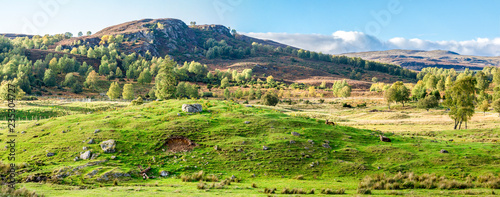 Panorama of Scottish Highlands outdoors and red deers lying down on the hills slopes