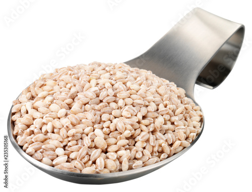 SPOONFUL OF PEARL BARLEY CUT OUT photo