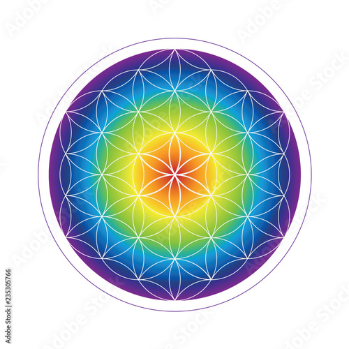colorful flower of life geometry in rainbow colors vector illustration EPS10