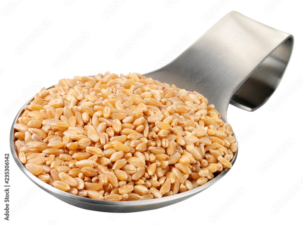 SPOONFUL OF WHEAT GRAIN CUT OUT