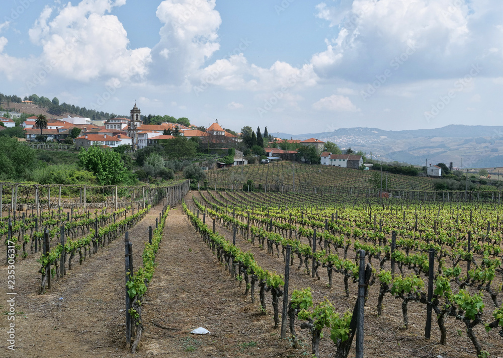 Duoro Valley vineyards with whitewashed town buildings nearby