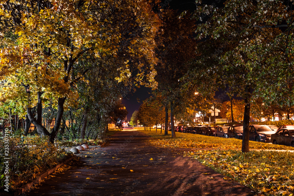 Naklejka premium Autumn footpath in the night city photographed by the light of street lights and lanterns