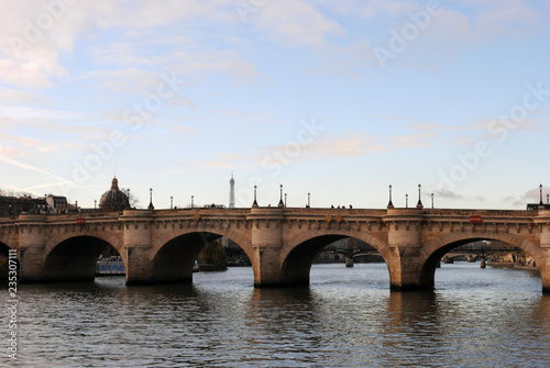 View of the Pont Neuf (New Bridge) in Paris. © Lidija