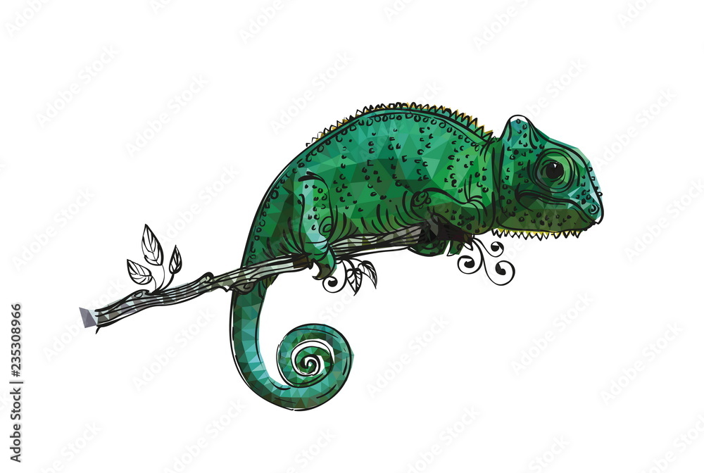 Fototapeta premium drawing of a chameleon bright green