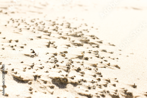 close up from sand in north sea, on island Texel in the Netherlands