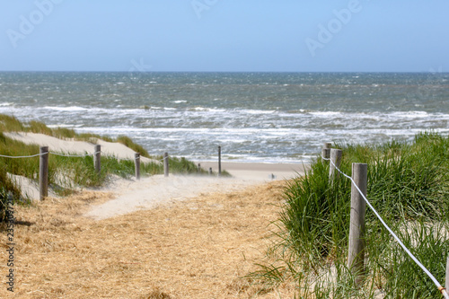 Path with dune at the Dutch North Sea. Wadden sea, Friesland, Texel.