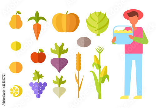 Harvest Farmer Vegetables Set Vector Illustration